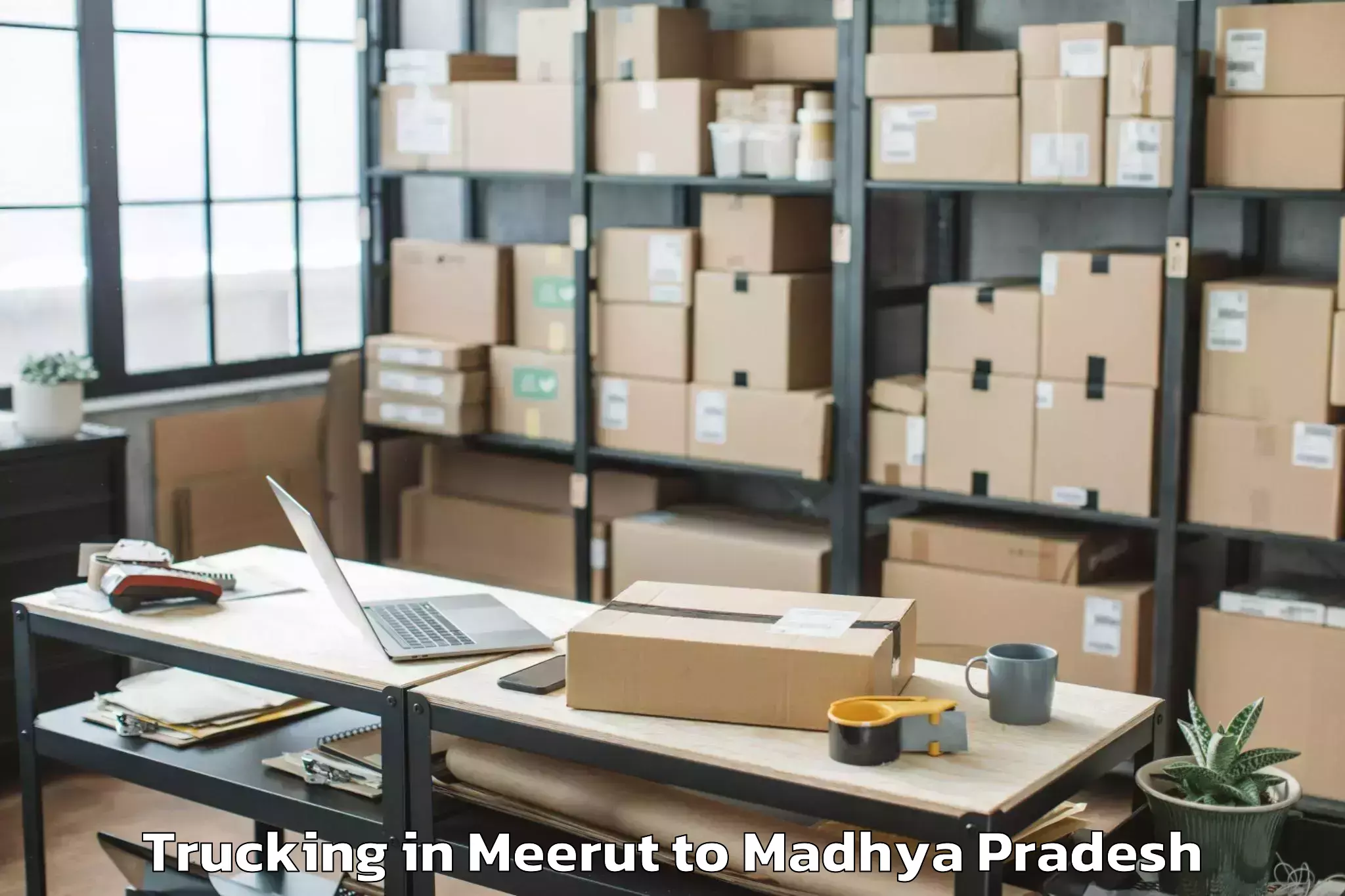 Leading Meerut to Malwanchal University Indore Trucking Provider